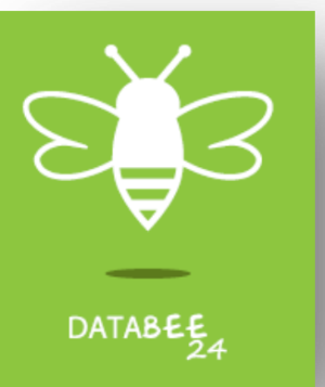 Databee24
